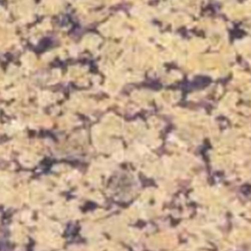 Oceanic6 Solutionz Raniwara Yellow Granite Slab