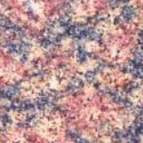 Oceanic6 Solutionz Bala Flower Granite Slab